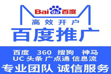 经典案例：专业SEM托管如何实现ROI最大化